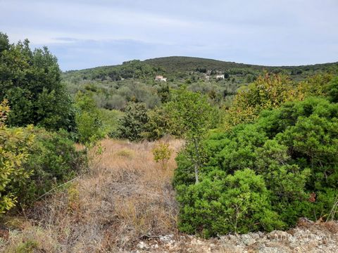 For sale BUILDING LAND of 649 m2 70 m from the sea in Brbinj on Dugi otok. The property consists of two parcels: one has 353 m2, while the other has 296 m2. It is located right next to the road. PROPERTY DESCRIPTION: - calm and quiet position; - it i...