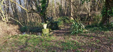 Maison de campagne - Grand terrain