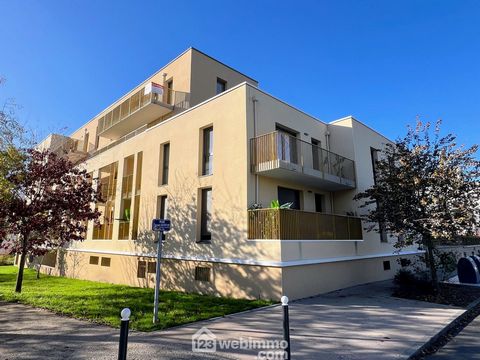 Appartement - 52m² - Angers