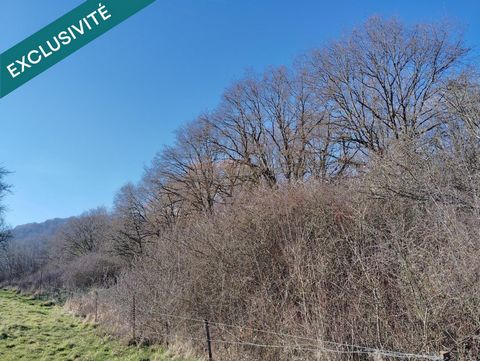 Thionville Beuvange-sous-Saint-Michel – Terrain agricole loisirs 4 442 m²