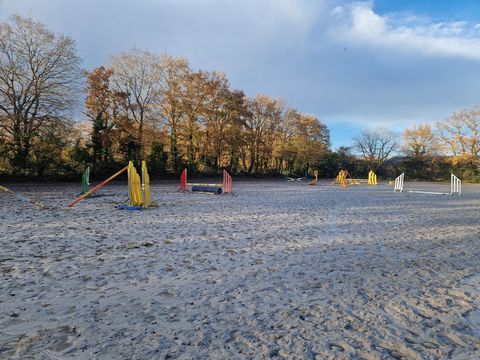 Ecurie - Terrain 5 hectares - Manège 20x60