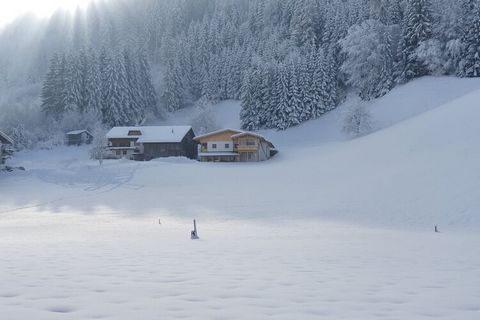 ¿Por qué quedarse aquí? Unas vacaciones de ensueño para los amantes de los esquíes. Esta casa de vacaciones en Kaltenbach se encuentra a tiro de piedra de las góndolas y las pistas de esquí de Hochzilltertal. Ideal para un grupo, tiene un balcón y la...