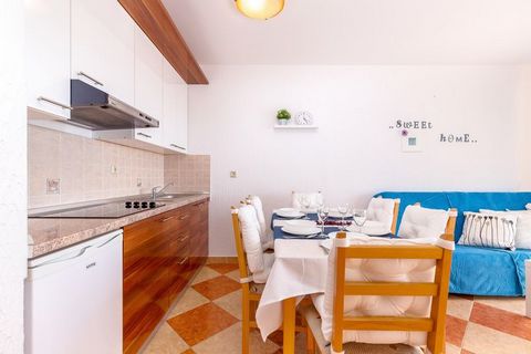 Dit luxe appartement in Crikvenica heeft 2 slaapkamers en is geschikt voor 4 personen, ideaal voor een vakantie met het gezin. De woning staat in de weelderige, groene omgeving van Kroatië en bevindt zich op 100 m van de zee en het strand.