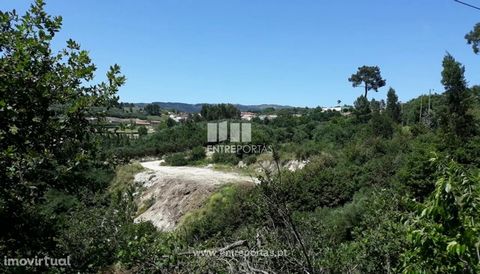 Land for sale, with an area of 15 000 m2, well located, near the center of Eiriz. Good investment. Excellent access. Ancede, Baião. Ref.: MC08297 FEATURES: Land Area: 15 000 m2 Area: 15 000 m2 Useful Area: 15 000 m2 Energy Efficiency: Exempt ENTREPOR...