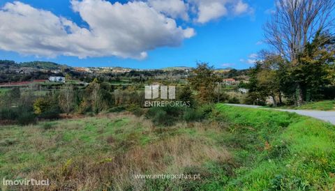 Excellent land for sale, with an area of 20 516 m2.  It is confronted with the Ovil River, it is flat, proper for agricultural project, good access and fantastic location. Excellent sun exposure. Come visit! Campelo, Baião. Ref.: MC08100 FEATURES: La...