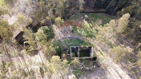 Farm with 1 house, 4 mills and a covered for restoration, Morreira, Braga   Property with 1 urban article, with 5,943 m2 of well-delineated land (recently rectified areas, with topographic survey), slightly inclined and forested, essentially eucalypt...