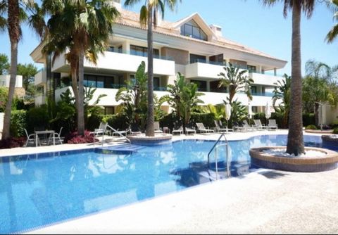 Located in Los Monteros. Spacious luxury apartment with three bedrooms and three bathrooms that also has a large living room with fireplace, a bright dining room, nice kitchen with fully equipped office and a large porch furnished with private garden...