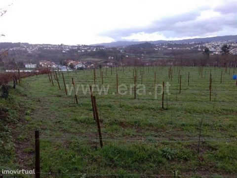 Rustic land with 9,000 m2 in Golães Agricultural land with: Area of 9,000 m2; Vineyard; Mine water; Outskirts of the city. Golães Parish About 4 kilometers from the seat of the municipality of Fafe, Golães is located in the suburbs of the city, separ...