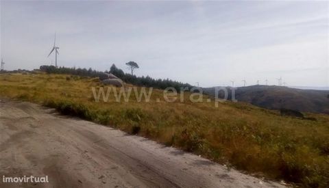 Land in Moreira do Rei Rustic land located in the parish of Moreira do Rei, near the wind farm and has as area 1890m2. It has a slight slope and excellent sun exposure Isolated Ideal for tree plantations Confronts with dirt road It is located about 1...