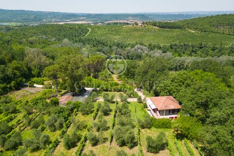 Beautiful villa in the open countryside with panoramic views, built in 1975 with olive grove, vineyard, orchard between Giove and Attigliano, less than an hour from Rome. Possibility to build a swimming pool. The two-story villa of approximately 100 ...