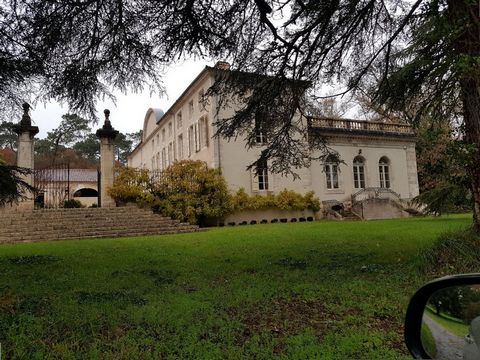 photo no. 5