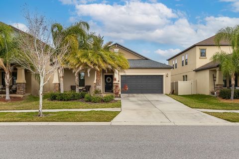 11106 Purple Martin Boulevard, Riverview, FL 33579 Features: - Air Conditioning