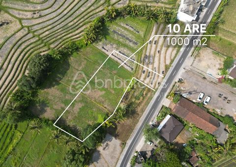 Serene Sanctuary: Premier Leasehold Land in Kedungu with Lush Views and Beach Proximity Price: IDR 2,125,000,000 until 2049 IDR 8,500,000/are/year Tucked away in the peaceful and scenic Kedungu, this vast 1,000 sqm land plot emerges as an unparallele...