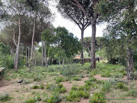 Urban plot of land in Urbanización La Canyera, with 906 m², 906 m² meters of plot, developable, exterior, kitchen unfurnished, southwest facing, less than 5 years. Flat plot to build a house. In Llagostera. Ref: 2024. Magnificent completely flat plot...