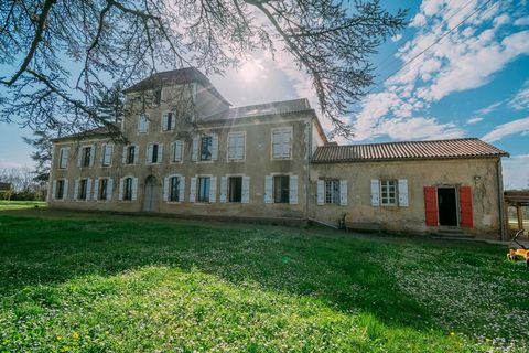 Situated in the heart of the Gers, surrounded by vineyards, this superb Gascon property offers an enchanting setting just 5 minutes from all amenities and 20 minutes from Nogaro. The stone château, which spans around 900 square metres, has been compl...