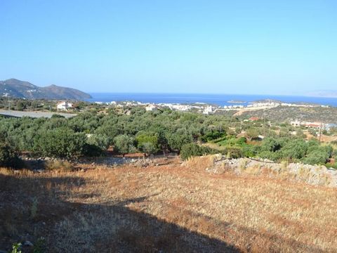 Located in Agios Nikolaos. Two adjacent seaview building plots (1 & 2), nicely positioned in a quiet mid/high-class residential area, in the western outskirts of Agios Nikolaos, Crete. The indicated price is for one of the two plots. You can purchase...