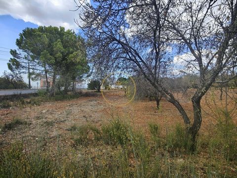 Located in Loulé. Urban land with 2,136m2 with a construction area of 300m2. This land is 3 minutes from the city of Loulé, in the area of Barreiras Brancas. For those looking to build housing on the outskirts of the city, but close to everything. In...