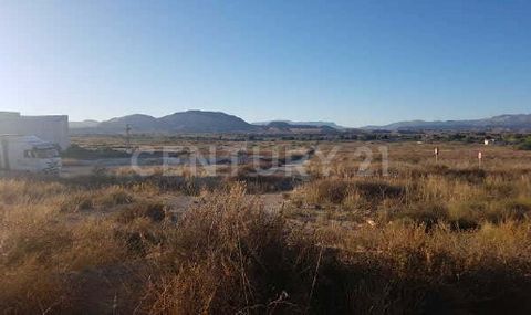 Do you want to buy a rustic land in Alicante? Excellent opportunity to acquire in property this rustic property of 106.105m² located in the town of Alicante. Acquiring a rustic property has several advantages, such as offering much more space and pri...