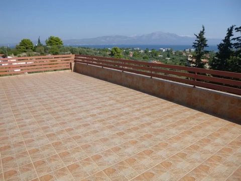 House 300sqm for sale in Oropos, Attiki. Constructed in 2001 in a 1840sqm plot, 2 levels with attic. Consists of: Spacious living room with fireplace, kitchen, 4 bedrooms, 3 bathrooms and wc, attic. Sequrity door, autonomous oil heating, solar water ...