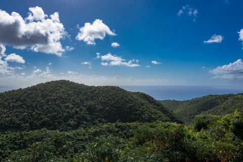Spectacular, dramatic and buildable parcel consisting of 7.27 acres located on the North side of the West end of St. Croix where the cerulean waters are crystal clear and the beaches are sandy. This private ridge line homesite is ideal for sunset vie...