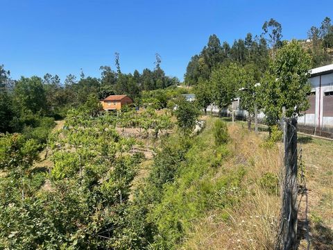 Spacious property of 7,500m2, comprising a 1,350m2 aviary, a 6,120m2 agricultural area, and a two-story house with a gross area of 60m2. The aviary underwent maintenance and modernization works in 2019. Built on a single level, with a footprint area ...