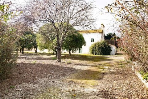 On the bank of the Tagus River, in the village of Porto de Muge, parish of Valada, 1 hour from Lisbon, is this farm, with 3630 m2 of land. Valada, is a peculiar area and especially valued in the Ribatejo for providing the connection between the count...
