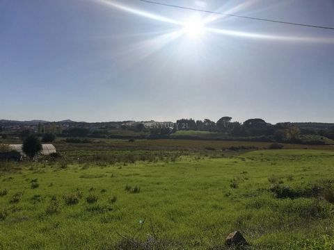 Rustic land with 4,560m2 of arable crops; next to the Serra de Montejunto. Direct access via tarmac road; next to the electrical network; water and sanitation. Privileged location with excellent sun exposure. It is located in the parish of Abrigada a...