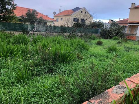 Plot of URBAN LAND with an area of 319 m2 (14,7m x 21,7m), located in an area consisting only of detached houses, close to Fonte da Telha beach and very close to the Aroeira Golf Course. On the plot it is possible to build a villa with an implantatio...