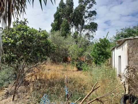 Located in Santana da Serra, in Escobeirinha, this property offers a landscape that conveys tranquility and well-being. With good access, a plot of 14 hectares and served by 2 dams and 2 boreholes, this property has all the conditions to become your ...