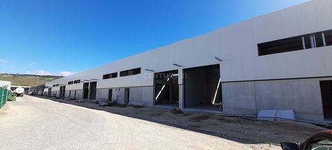 Situé dans une communauté fermée du centre d'affaires d'Arruda dos Vinhos, le nouveau pôle industriel est en pleine croissance. Entrepôt d'une surface utile de 300 m2, réparti comme suit : Étage 0 : 253 m2 ; Mezzanine : 48 m2 ; Caractéristiques princ...