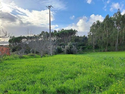 Rustikales Grundstück mit 600m2, regelmäßig mit guter Anbindung in Ervidinho - Vila Verde Ideal für die Landwirtschaft. Licht und Wasser in der Nähe. Es liegt sechs Kilometer von Figueira da Foz entfernt. Guter Zugang. Profitieren Sie jetzt!