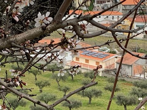 Are you looking for a quiet place to work from home in comfort? Beautiful villa in Horta do Douro (Vila Nova da Foz do Côa) with a lot of history! House 4 bedrooms, with 3 bathrooms and central heating. Has daily school transport. The 1 Km there are,...