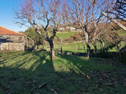 Rustic stone house with two floors, one for housing and a lower floor for storage, basement or garage, with a land area of 305 m2 and a footprint of 110 m2. Roof completely changed in 2021. It will be your home! Waking up in the middle of the country...