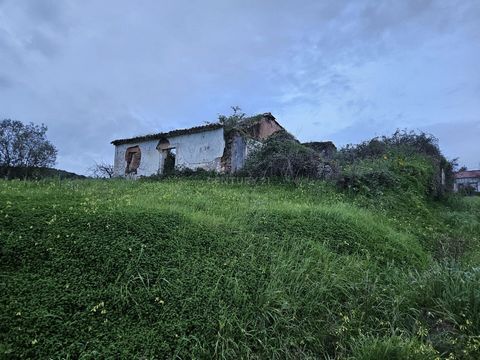 Dom w stanie ruiny, z typologią T3. Posiada powierzchnię prywatno-budowlaną brutto 91m2, położoną na działce o powierzchni 1 180m2. Znajduje się 2 km od miejscowości Limeiras i 131 kilometrów od Lizbony.