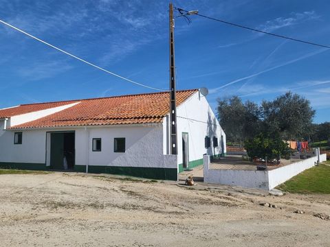 Farm with an excellent location and excellent access next to Sabugueiro, Arraiolos. This property is fully fenced and consists of 2 two-bedroom houses with independent entrances in good condition, garage and attic. It has a privileged view, lots of w...