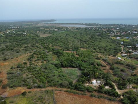 122 acres of development land in Treasure Beach, less than 3 minutes away from the beach. This lot is the largest remaining piece of land in the upper Treasure Beach community, making it prime real estate for residential, commercial, or mixed use dev...