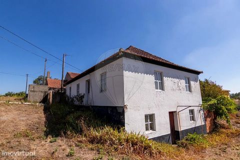 Farm for sale, located in the place of Espinho Grande at the close of the IC8, the property, consisting of a villa with 79m2 of floor area with basement 