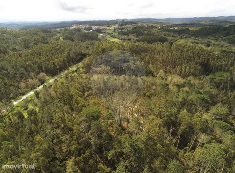 Land with 2145m2. Located next to the village of Brunhós, this land is currently composed of bush and pine forest. Inserted in a quiet place, with excellent sun exposure. Book your visit now!!
