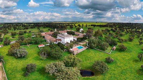 Deep in the vast and majestic province of Extremadura, an architectural treasure from the 18th century stands as a silent witness to Spain's history. This colonial estate, unique in its singularity, holds the illustrious legacy of Spain's historic ho...