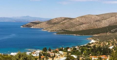 For Sale - Land in Nea Stira Location: Nea Stira, Greece Property Details: Area: 75,000 sq.m. City Plan: Out of plan Number of Facades: 5 Frontage: 15 meters Slope: Amphitheatrical View: Sea, Unobstructed Distance from the Sea: 600 meters Features: S...