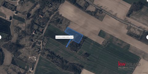 Oferuję do sprzedania atrakcyjną działkę rolną o powierzchni 9 990 m2 położoną w Łuczynie w gminie Dobroszyce, w województwie dolnośląskim, powiat oleśnicki. Numer ewidencyjny działki 235/5. Posiadam jeszcze 3 działki do sprzedania, które położone są...