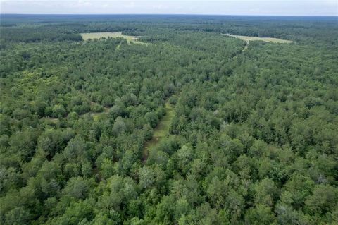 Discover the boundless opportunities awaiting you on Bragg Road, where a vast expanse of 344 acres of unrestricted land offers a canvas for your imagination. Amongst breathtaking pines, this property is a haven for outdoor enthusiasts and those seeki...