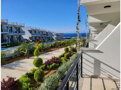 From the apartment it is around 1 km to the beach. The closest airport is approx. 50 km away. The apartment has a living space of 50 m². This includes a bed-/living room and a bathroom. The bathroom offers a shower. The open kitchen is set up with pr...
