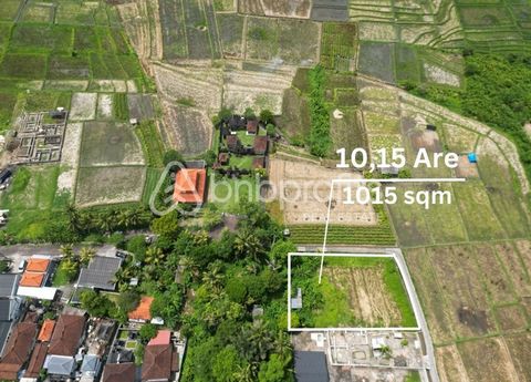 Seize the opportunity to own a piece of Bali’s paradise with this prime land for sale in North Canggu. This property presents a rare chance to invest in Bali’s booming real estate market. Discover the potential of this plot and envision the limitless...