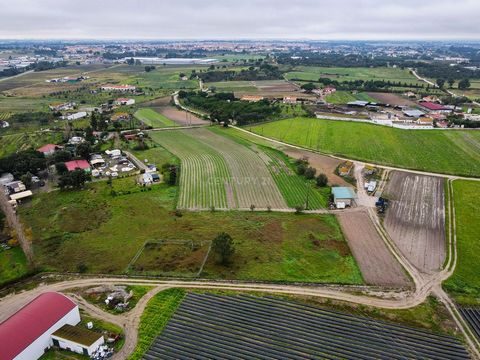 Zum Verkauf stehendes Grundstück in einer wirklich ruhigen Umgebung und ganz in der Nähe der städtischen Zentren, fünf Minuten von Pinhal Novo entfernt. In der Umgebung von Häusern gibt es Geschäfte und Dienstleistungen, die Sie in der Nähe benötigen...