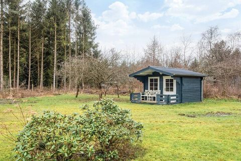 Ferienhaus in der Nähe von Silkeborg, auf einem schön abgeschirmten Ferienhausgrundstück gelegen, das zum Ballspielen einlädt. In diesem Ferienhausgebiet besteht die Möglichkeit für schöne Spaziergänge auf verschiedenen Wegen. Im Ferienhaus gute, fun...