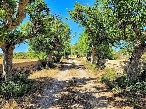 Entdecken Sie das Wunder, an einem Ort zu leben, an dem MENORCA EIN PARADIES IN DER NÄHE IST. Nicht weit von der charmanten Stadt Alaior entfernt erwartet Sie dieses einzigartige Anwesen. Ein prächtiges Landhaus in Alaior, Umgebung, mit 660 m² Wohnfl...