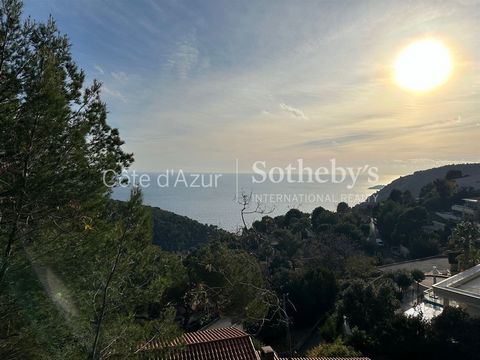 Selten zu verkaufen: Baugrundstück in Eze mit einer Fläche von 1.101 m². Baugenehmigung für eine Villa mit Infinity-Pool und fünf Parkplätzen gestrichen. Die vollständige Akte steht Ihnen zur Verfügung und auf Anfrage bei der Agentur zur Verfügung (g...