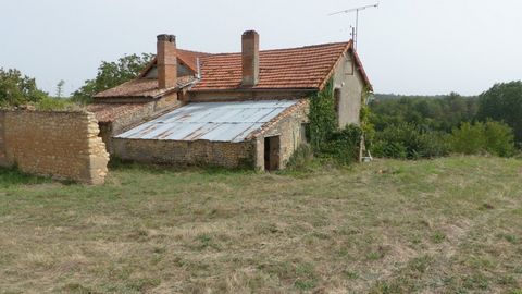 photo no. 2