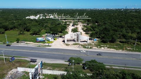 Santa Loreto, die neue Wohnanlage in Ciudad Caucel mit 8 Häusern Ciudad Caucel befindet sich im Westen von Mérida und zeichnet sich dadurch aus, dass es aufgrund seiner Nähe zur Stadt eine der besten Gegenden zum Leben ist, aber auch, weil es über al...